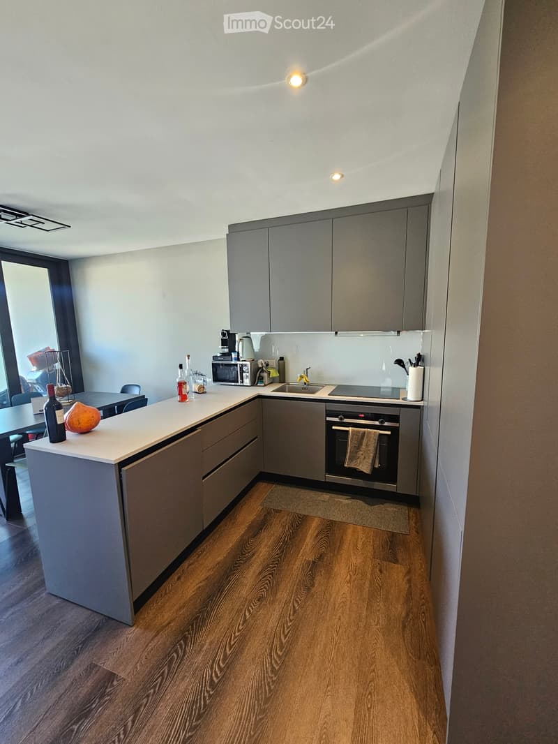 Appartamento 3.5 - Mendrisio (2)