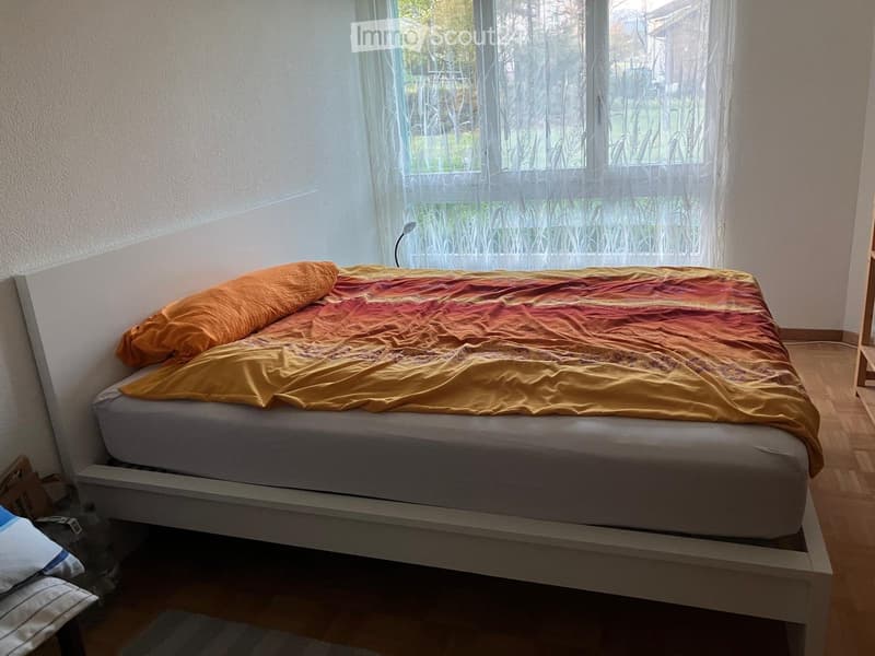 Zimmer zu vermieten (4)