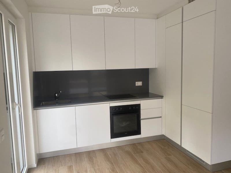 Appartamento 2.5 locali a Lamone (3)