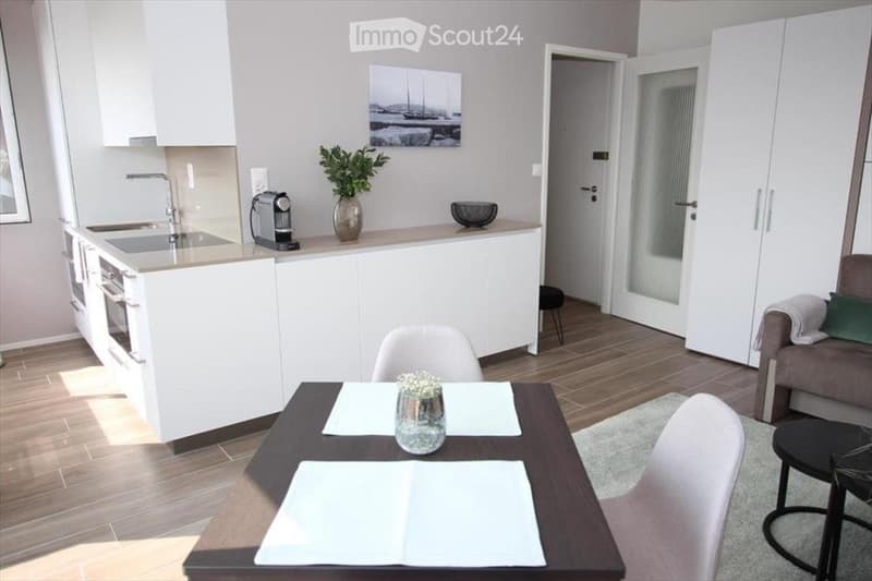 Studio meublé 1 pièce Quartier Délices (2)