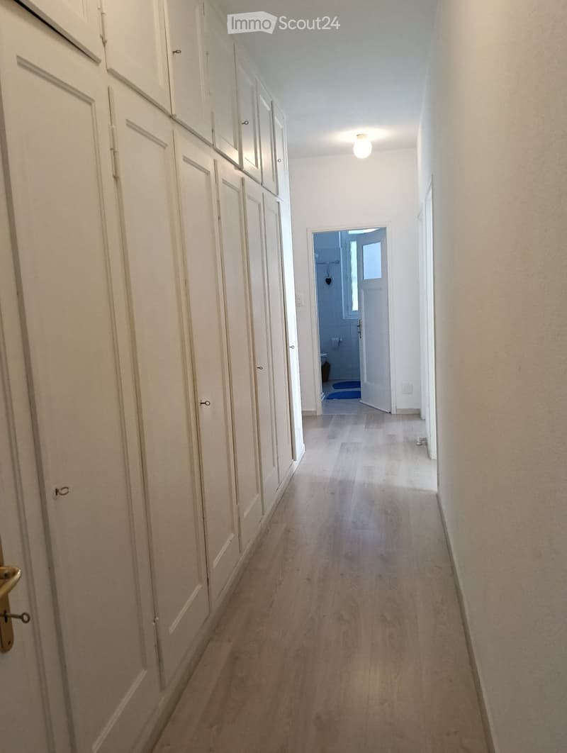Cercasi subentrate Appartamento 5,5 locali (3)