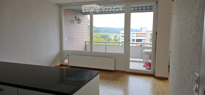 3.5 ehm. 4.5 Zi. 120m2 BW, lichtdurchflutet, ruhig, Attika (3)