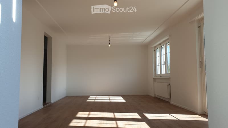 4.5-Zimmer EFH an sonniger Lage (3)