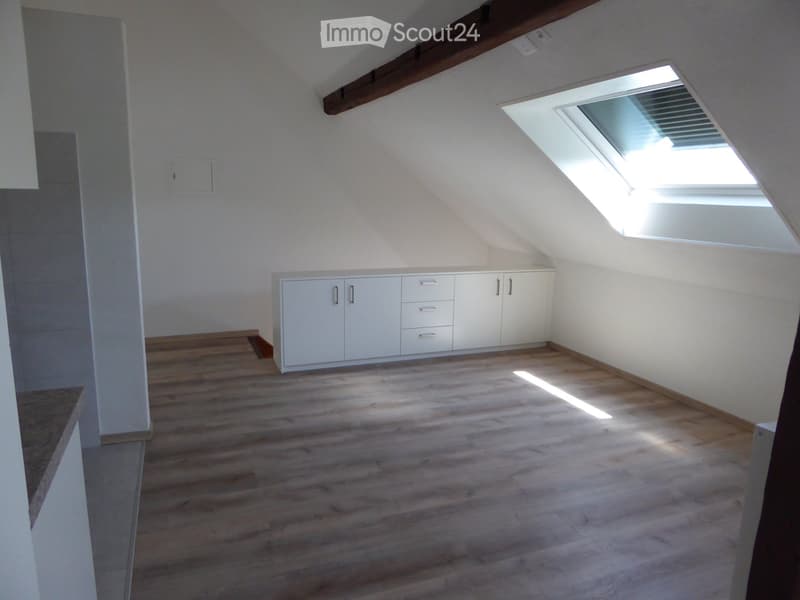 3 Zimmer Dachwohnung 2. Stock (3)