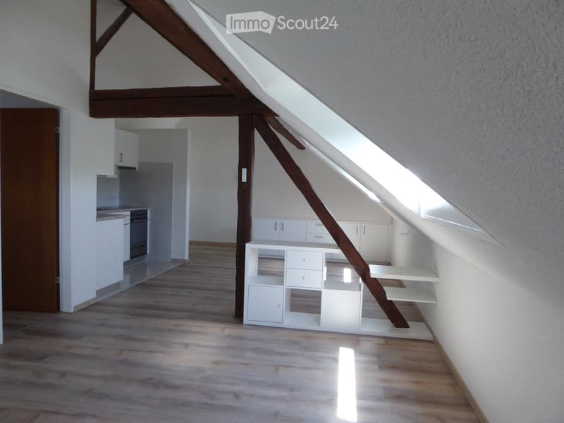 3 Zimmer Dachwohnung 2. Stock (2)