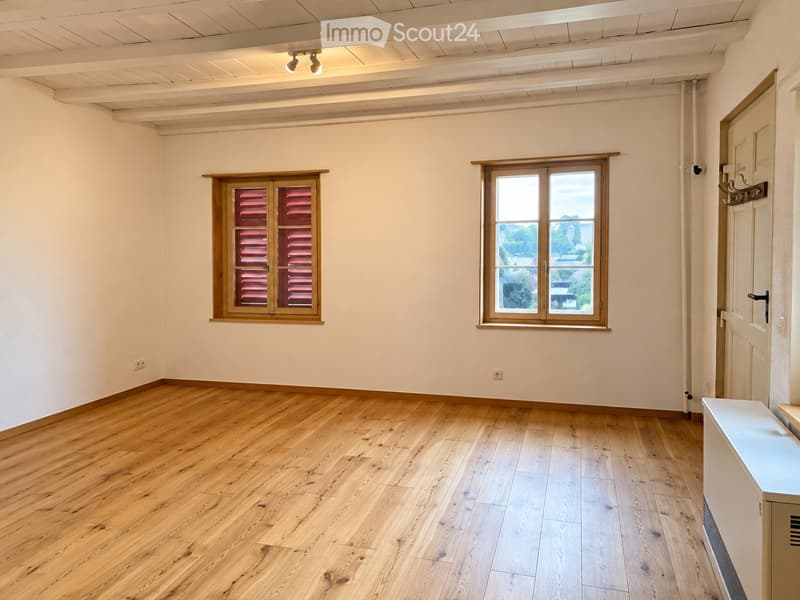 Studio Wohnung im Schloss (2)