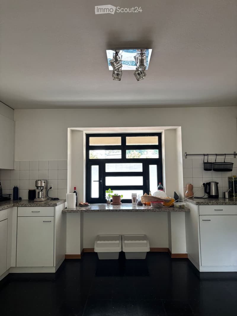 Appartamento luminoso 3.5 stanze (3)