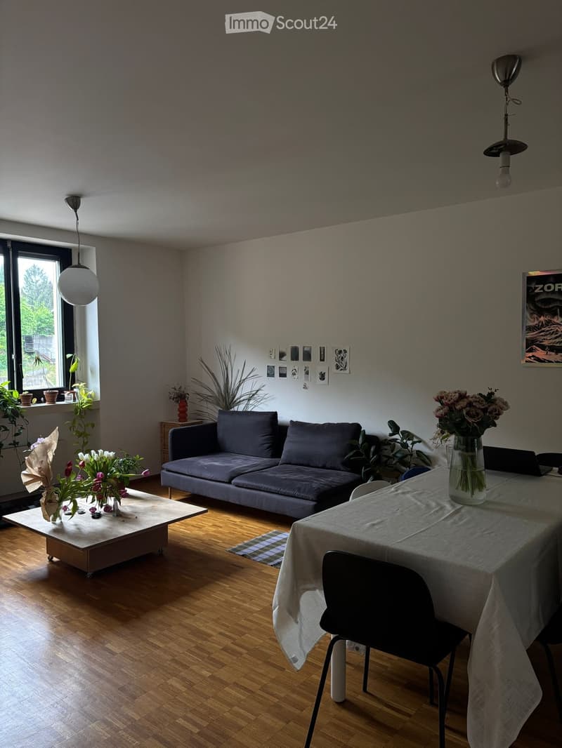 Appartamento luminoso 3.5 stanze (1)