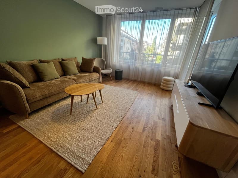 Moderne 2.5-Zimmer-Wohnung in Luzern ab sofort zu vermieten (1)