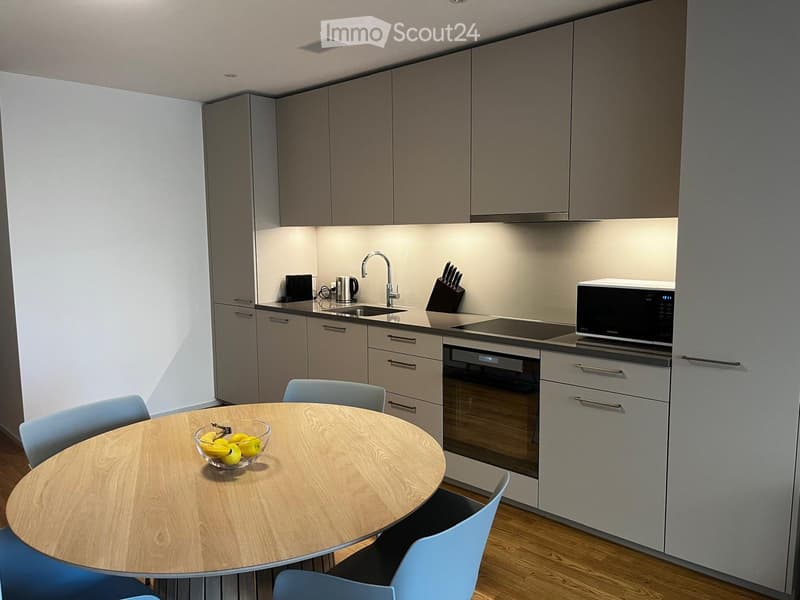 Moderne 2.5-Zimmer-Wohnung in Luzern ab sofort zu vermieten (2)