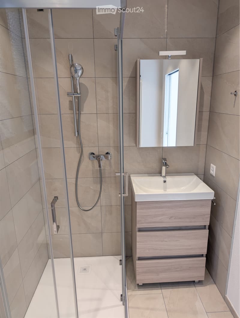 Accogliente 2 locali nel cuore di Minusio CHF 990. (5)