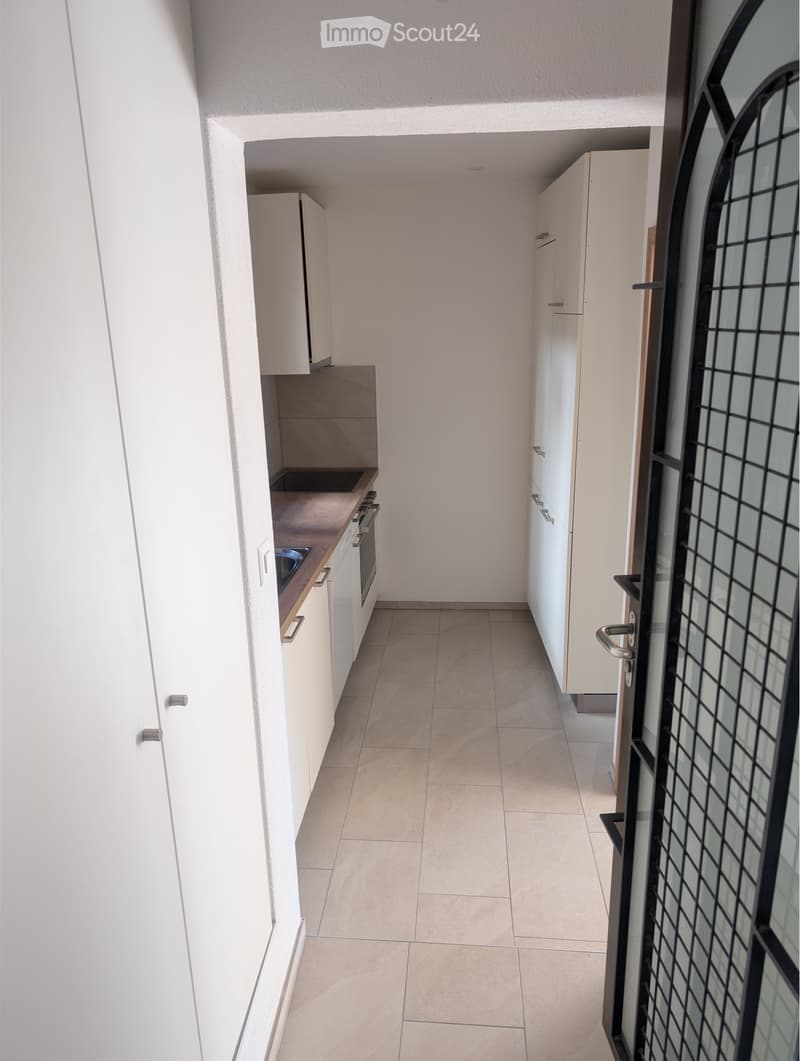 Accogliente 2 locali nel cuore di Minusio CHF 990. (2)