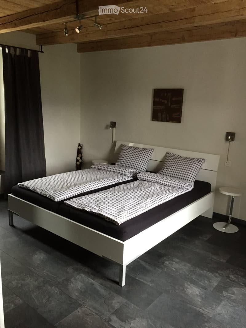 Möblierte 2.5z. Wohnung zu Vermieten (5)