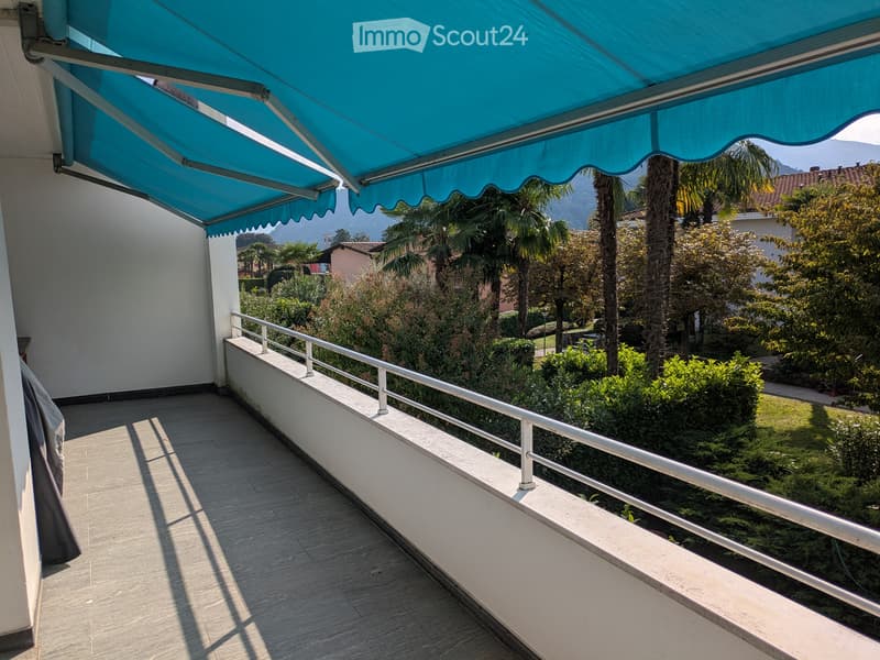 Cerco subentrante splendido 3.5 da 100m2 (1)
