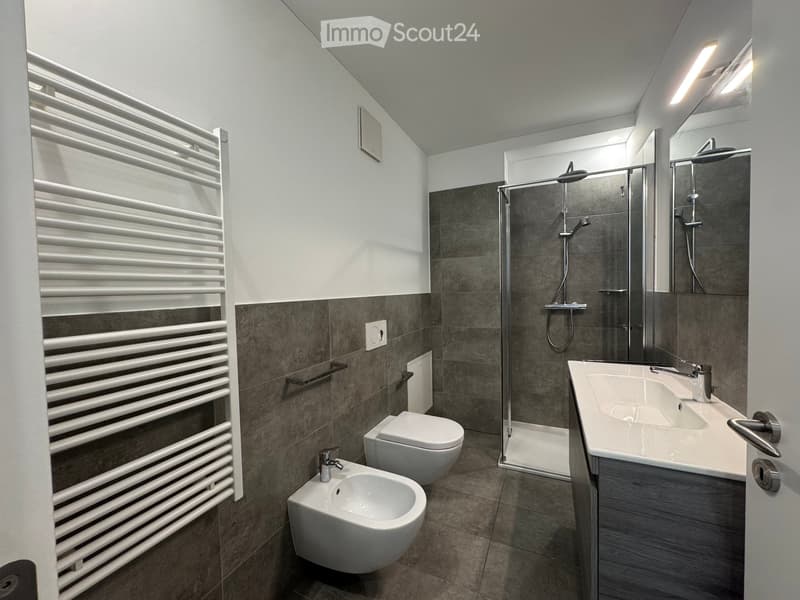 MASSAGNO - Appartamento 3.5 locali in affitto, 70 m² (8)