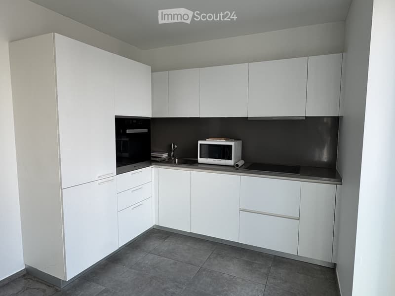 MASSAGNO - Appartamento 3.5 locali in affitto, 70 m² (2)