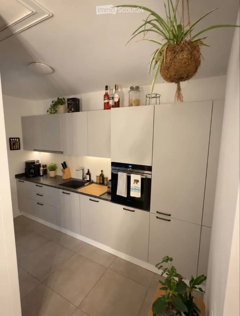 Cerco subentrante 2.5 con giardino (5)