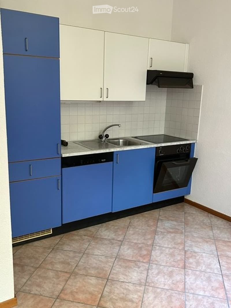 Appartamento nel centro di Bellinzona (2)