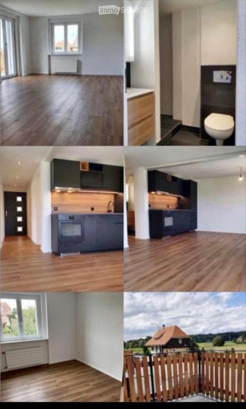 2,5 Zimmer Wohnung - Nachmieter gesucht (1)