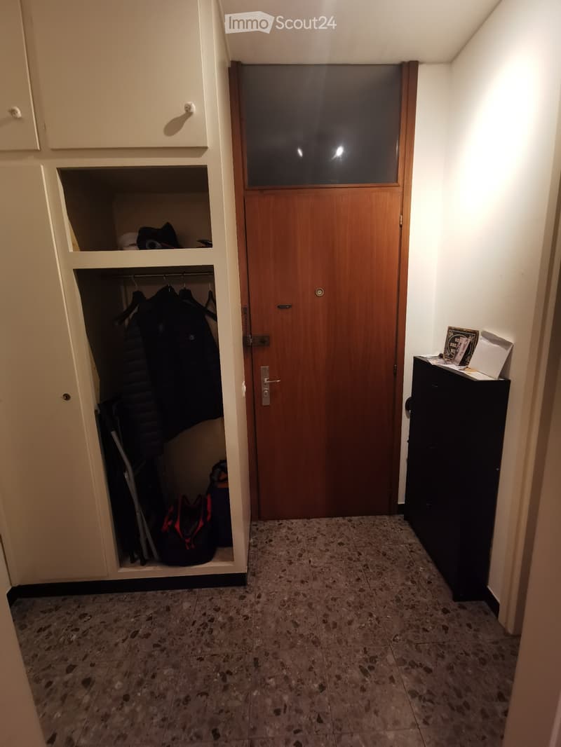 Cerco subentrante per appartamento a lugano (4)