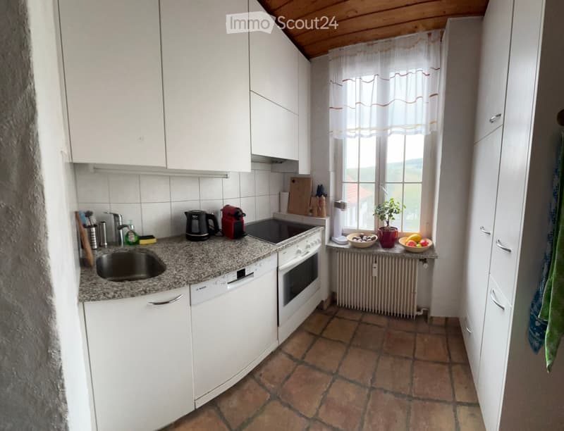 Nachmieter gesucht: 2½-Zimmer-Wohnung mit Cheminée in Baden (5)
