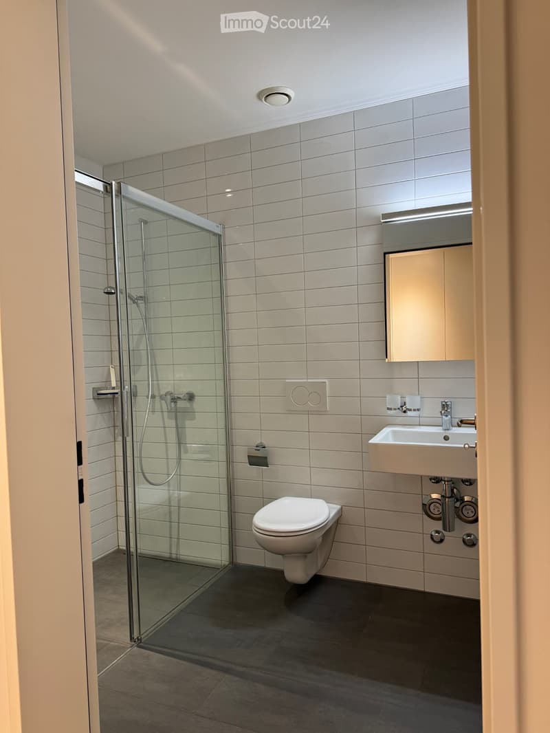 3.5 Zimmer-Wohnung in Windisch per 1. Dez (3)
