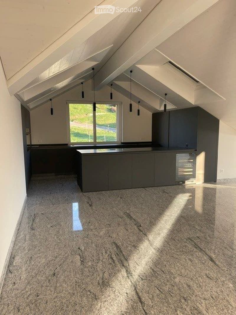 3.5 Attika Wohnung (2)