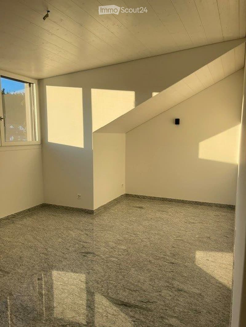 3.5 Attika Wohnung (5)