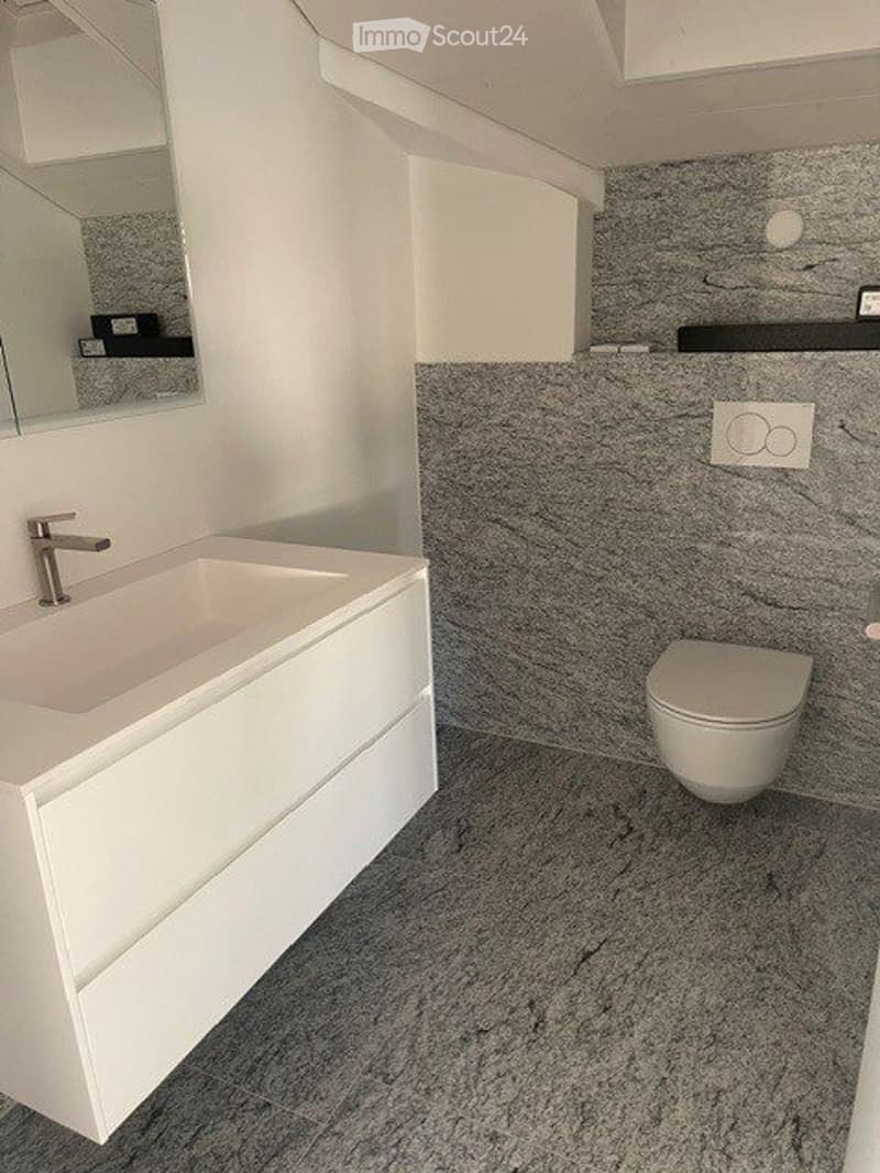 3.5 Attika Wohnung (3)