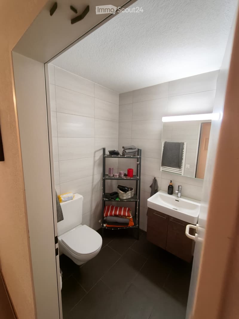 Luzern: Geräumige 3,5-Zimmer-Wohnung (5)