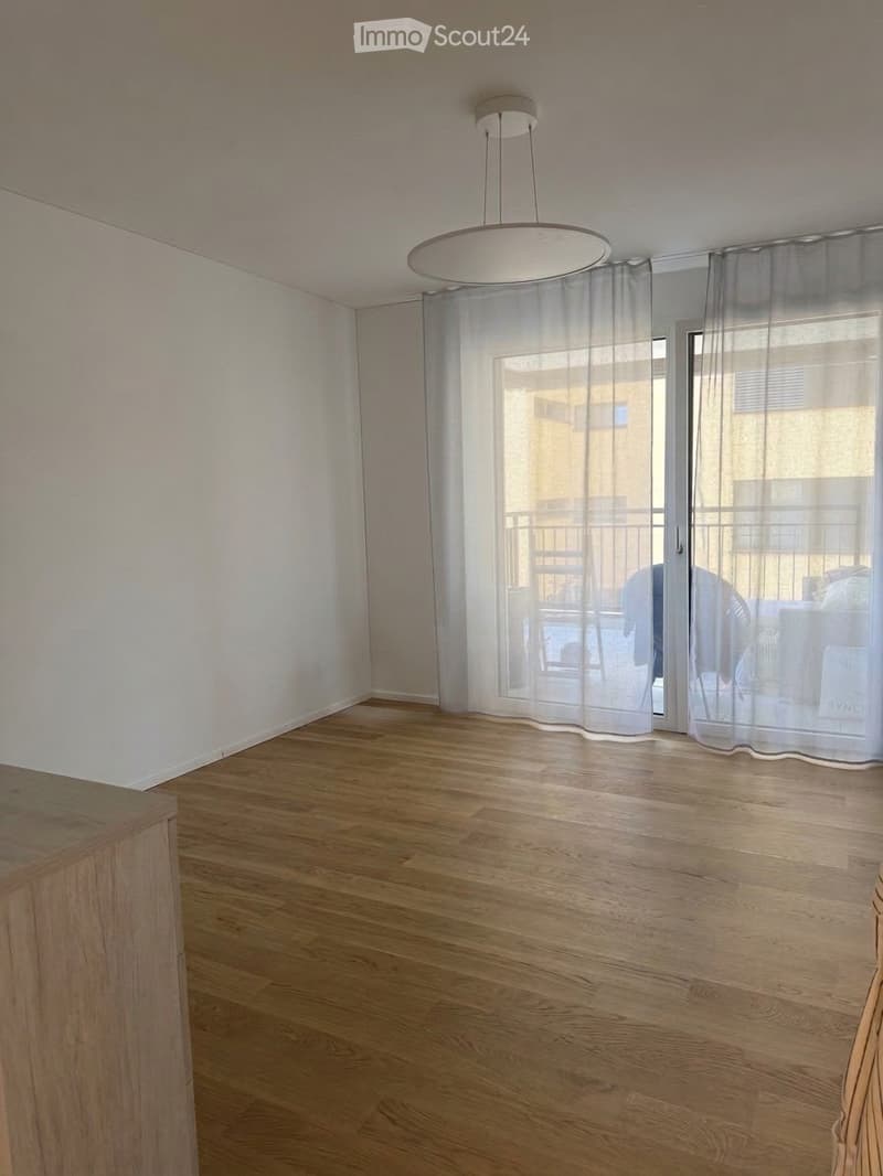 Affittasi appartamento 2.5 locali a Tenero (2)