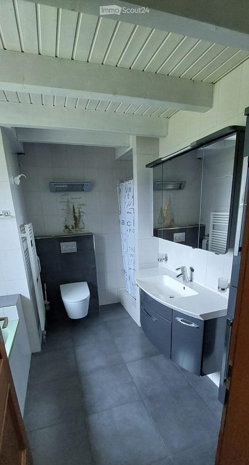 Sehr grosse Dachwohnung, Hausteil zu vermieten (4)