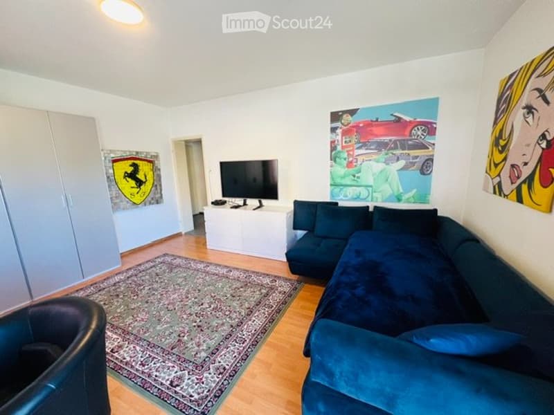Möbilierte 1 Zimmer Wohnung (2)