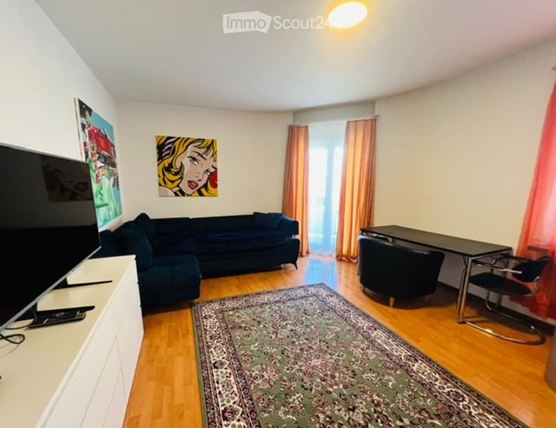 Möbilierte 1 Zimmer Wohnung (1)