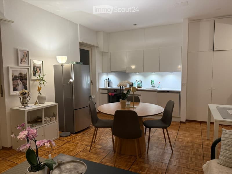 Cercasi Subentrante Appartamento 2.5 locali arredato (5)