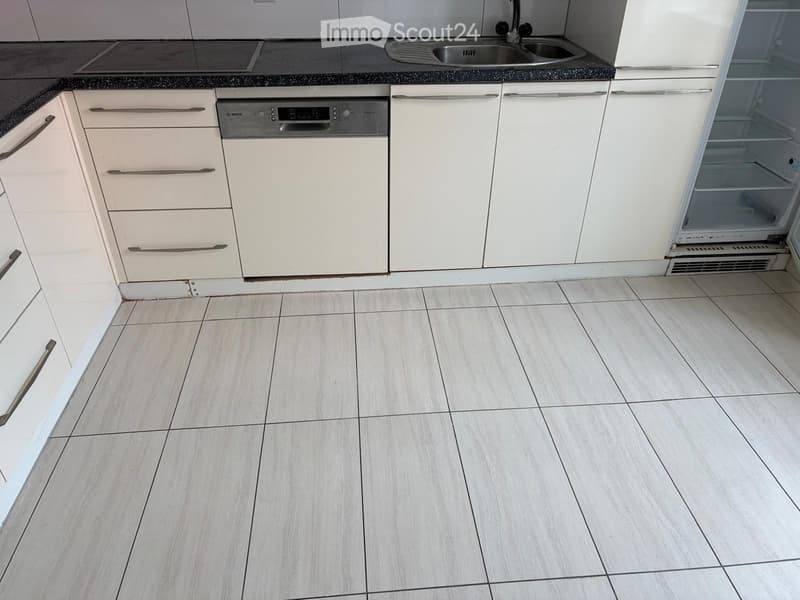 Appartamento ad arbedo (1)