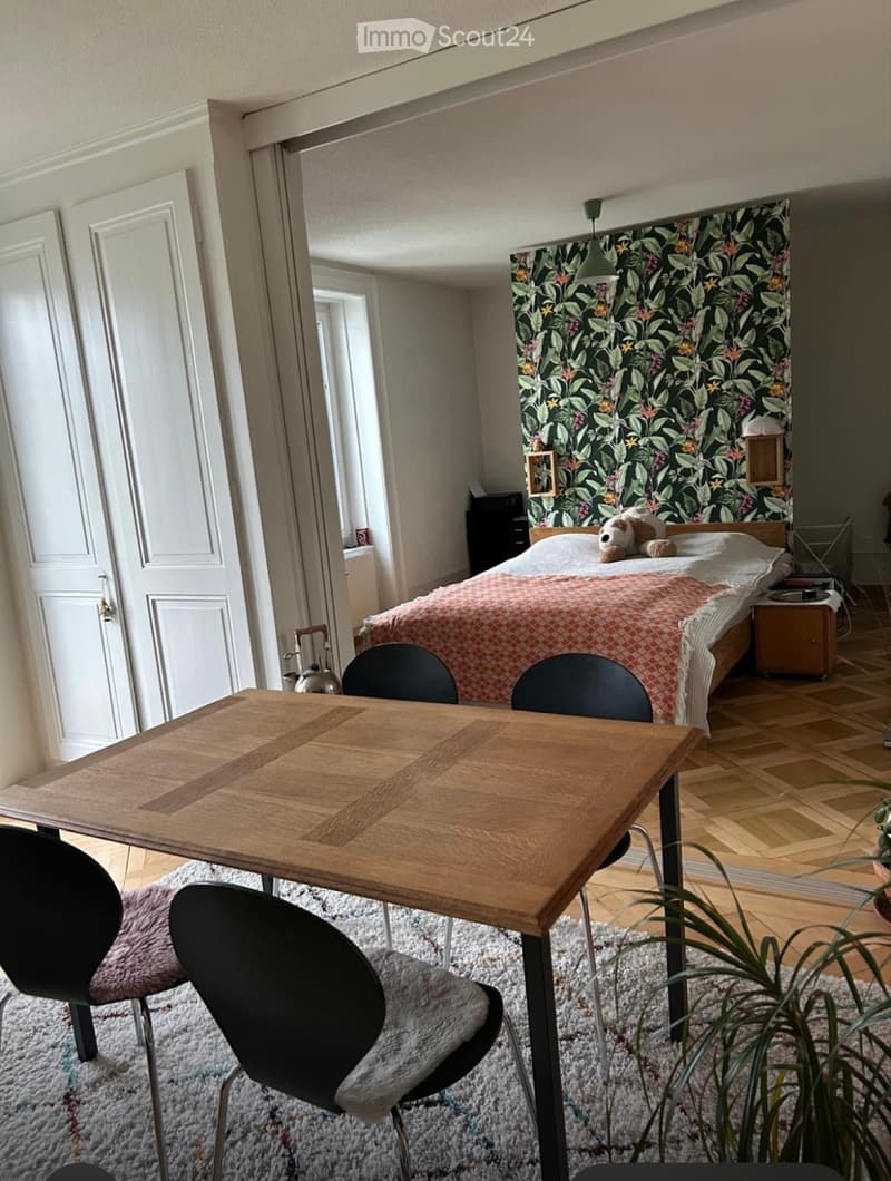 Sehr schöne helle 3.5 Zimmer Wohnung (1)
