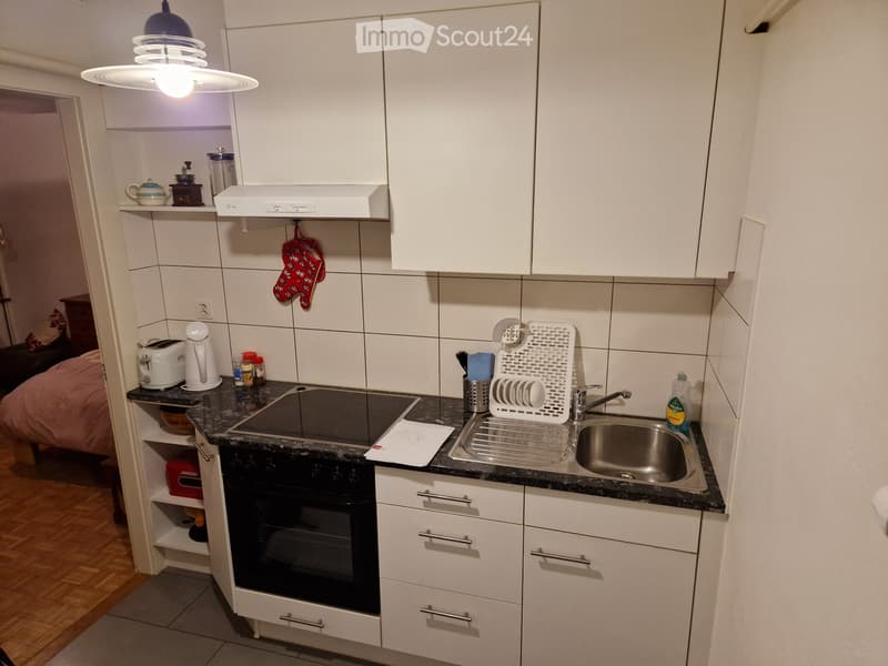 Zentrale und ruhige 2.5-Zimmer-Wohnung (5)