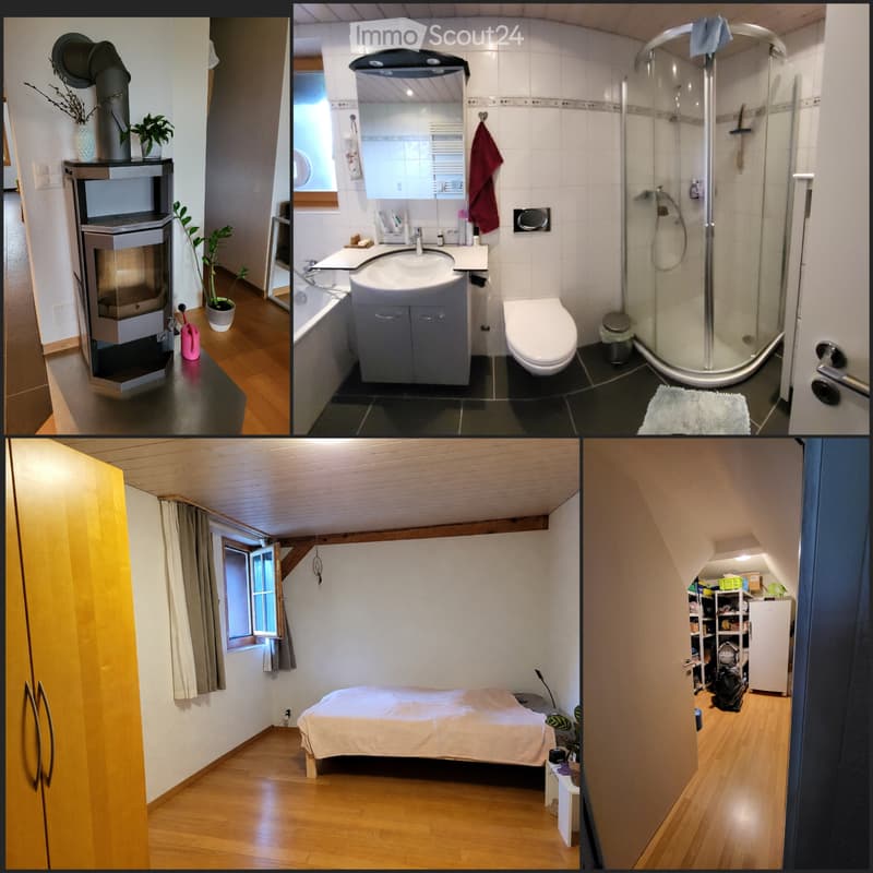 3 Zimmer Dachwohnung (2)