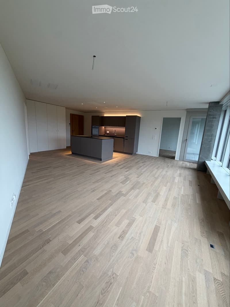 2.5 Zimmer-Whg. im Pilatus Tower (1)