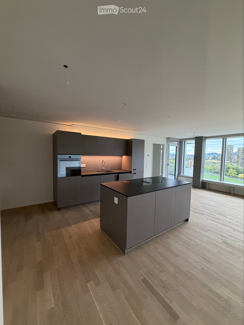 2.5 Zimmer-Whg. im Pilatus Tower (3)