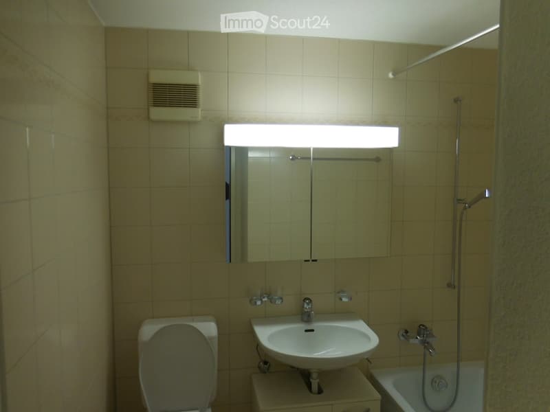 Gemütliches Zuhause im Herzen von Emmenbrücke (5)