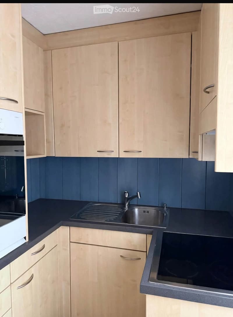 3.5-Zi Whg Garten + Balkon in ruhigem Quartier Buchs AG (4)