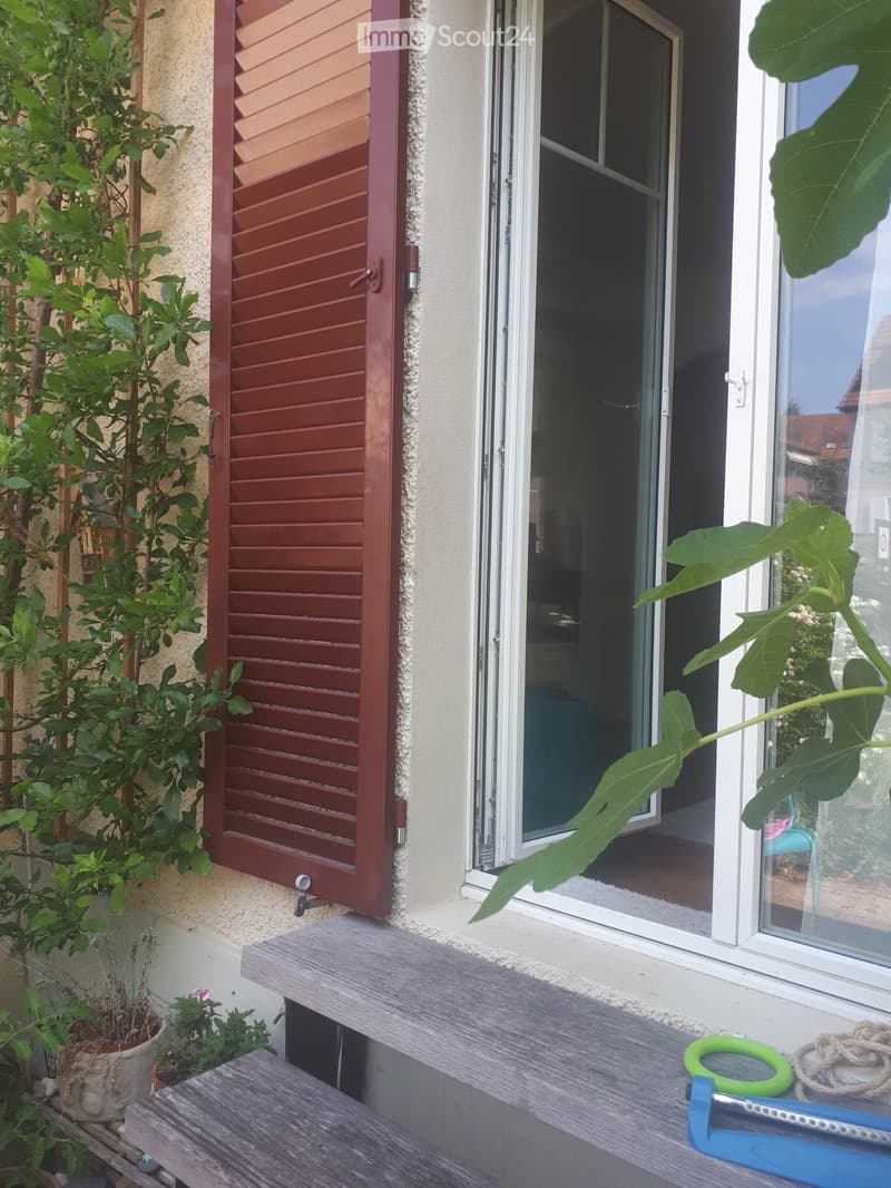 WG Zimmer mit Garten (1)