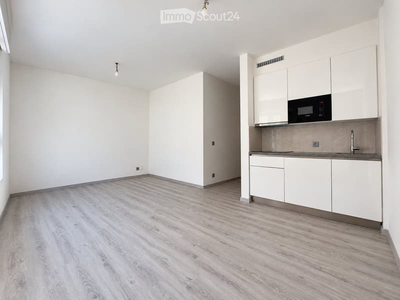 Appartamento 1.5 locali ristrutturato a Lugano ZONA CENTRALE (2)