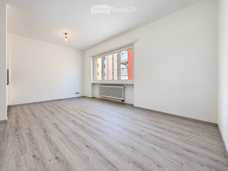 Appartamento 1.5 locali ristrutturato a Lugano ZONA CENTRALE (3)