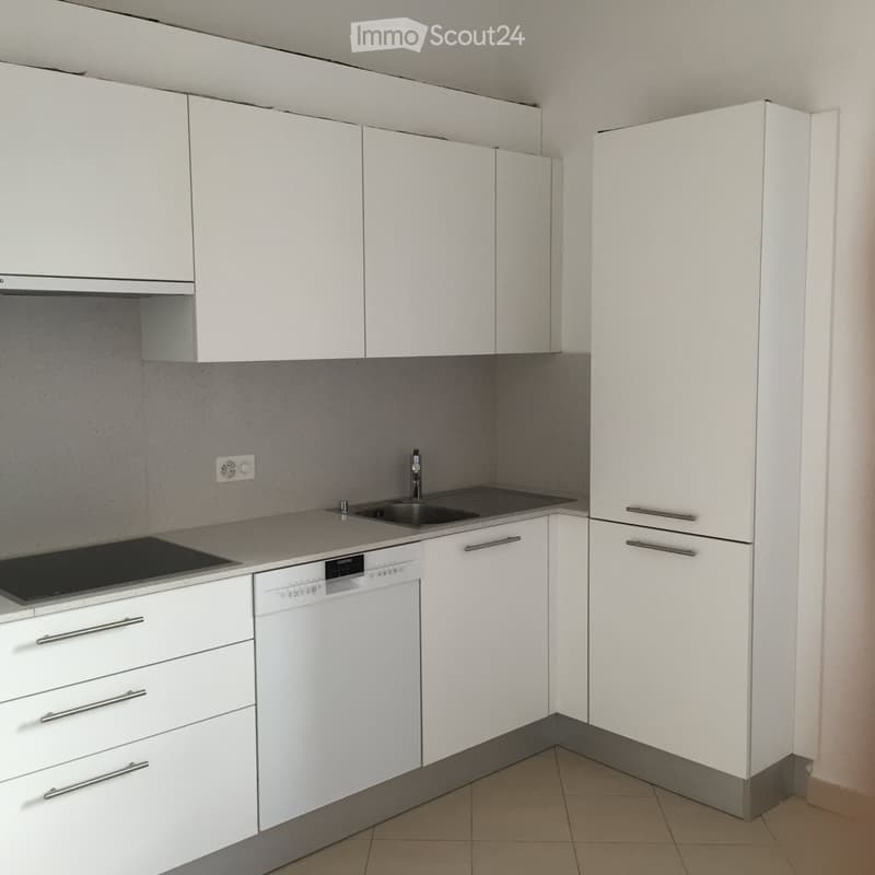 Appartamento a Lugano (2)
