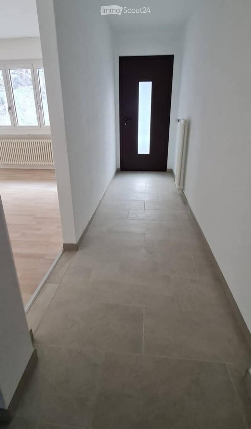 Faido (Chiggiogna)- affittasi appartamento 3 locali (2)