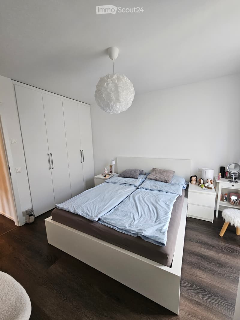 Appartamento 3.5 - Mendrisio (3)
