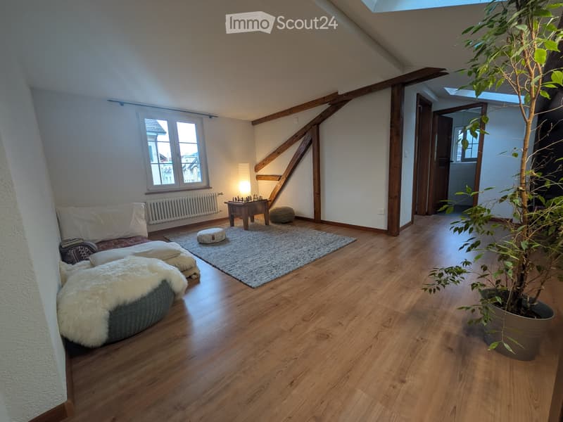 2 ½ Zimmer-Wohnung in Richterswil mieten (1)